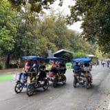 Rosalies dans la Villa Borghese